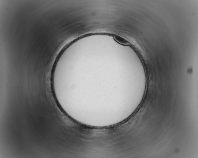 X0000102371181200808291242