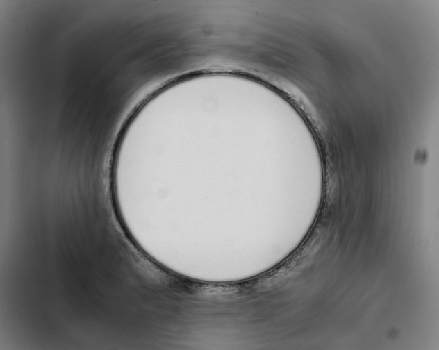 X0000102371183200808291242