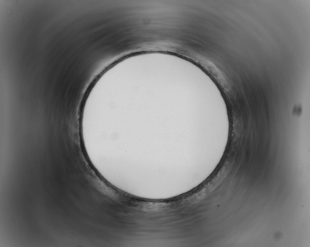 X0000102371184200808291242