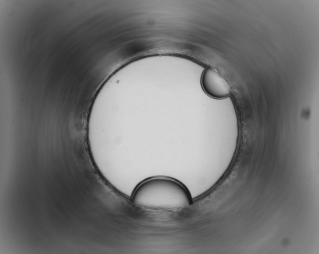 X0000102371185200808291242