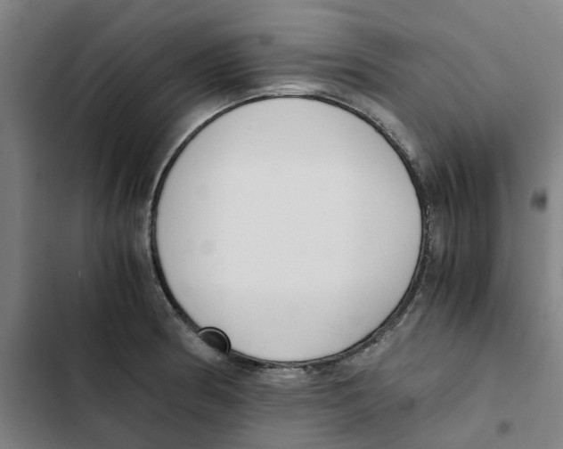 X0000102371186200808291242