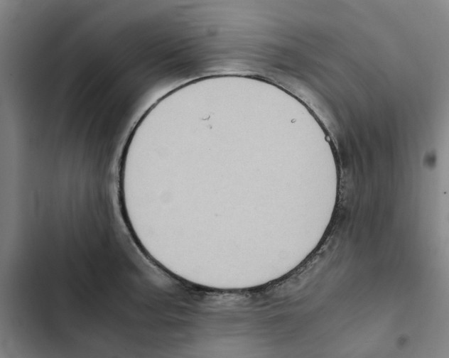 X0000102371187200808291242