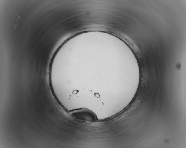 X0000102371188200808291242