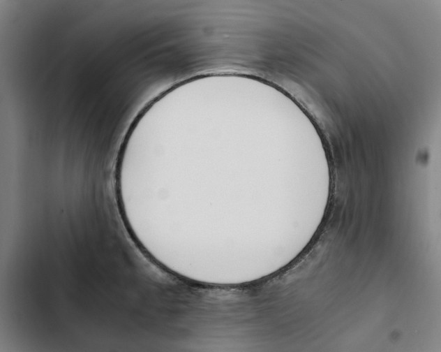 X0000102371189200808291242