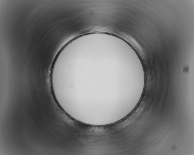 X0000102371190200808291242
