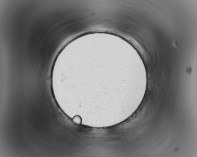 X0000102371191200808291242