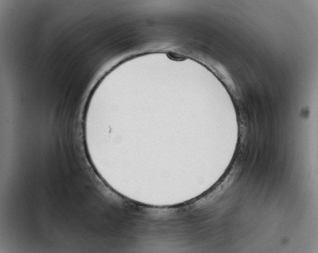 X0000102371192200808291242