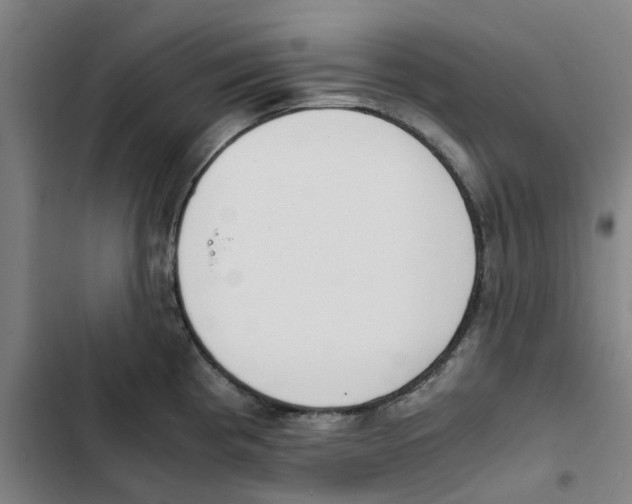 X0000102371193200808291242