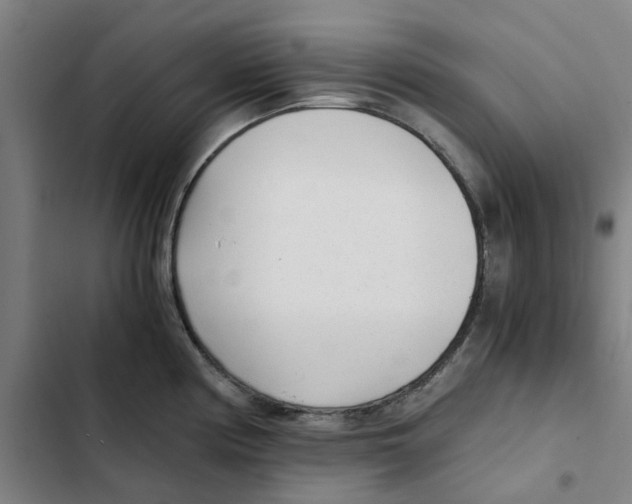 X0000102371194200808291242