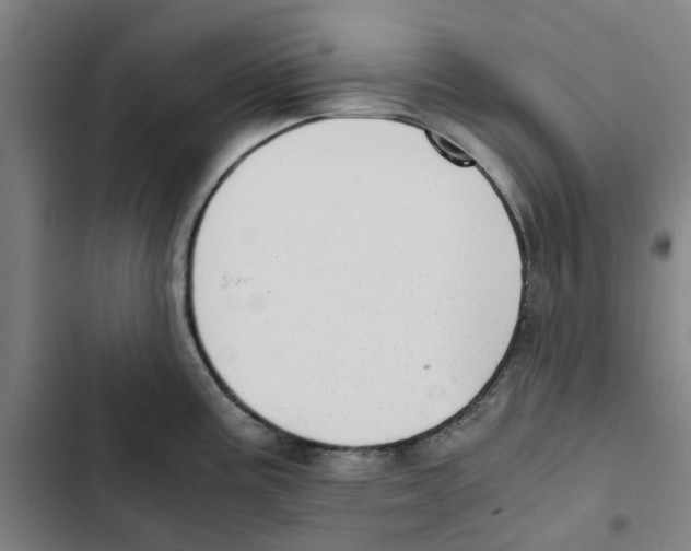 X0000102371195200808291242