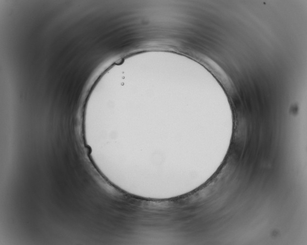X0000102371196200808291242