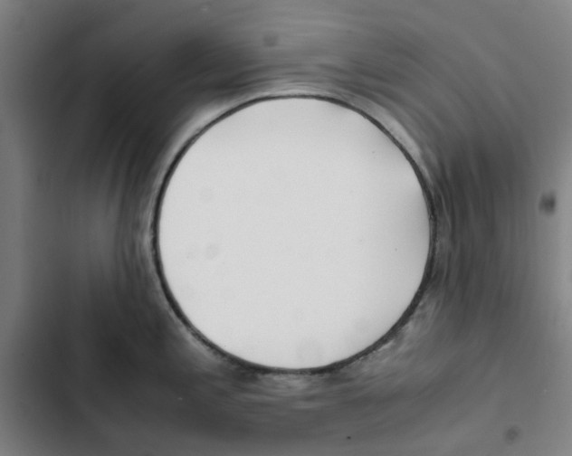 X0000102371197200808291242