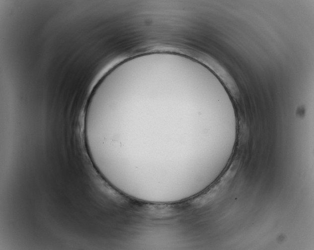 X0000102371198200808291242