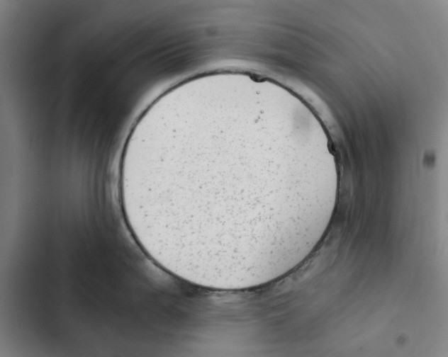 X0000102371199200808291242