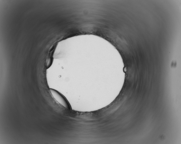 X0000102371201200808291241
