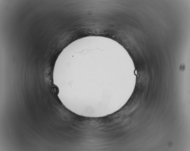 X0000102371202200808291241