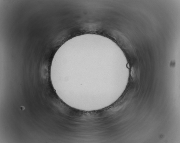 X0000102371203200808291241