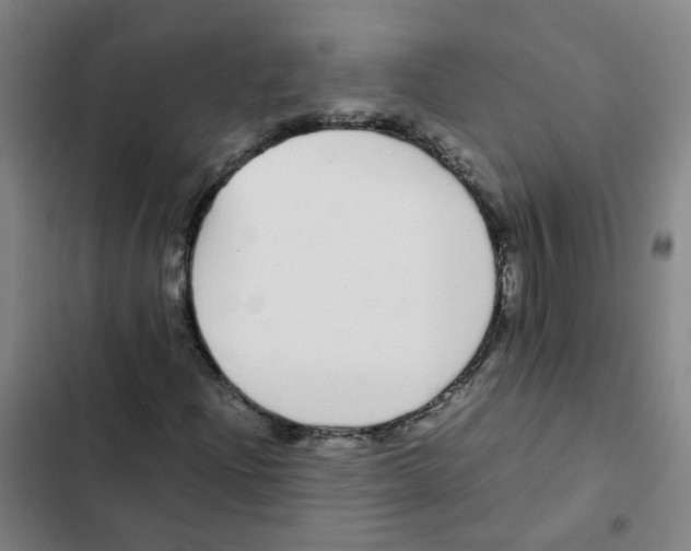 X0000102371204200808291241