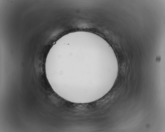 X0000102371205200808291241