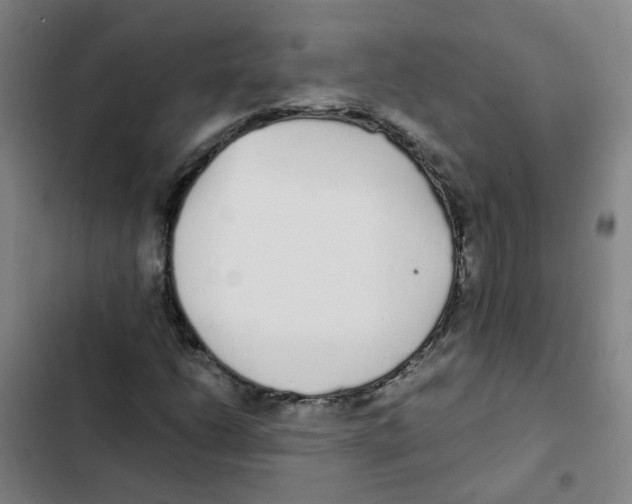 X0000102371206200808291241