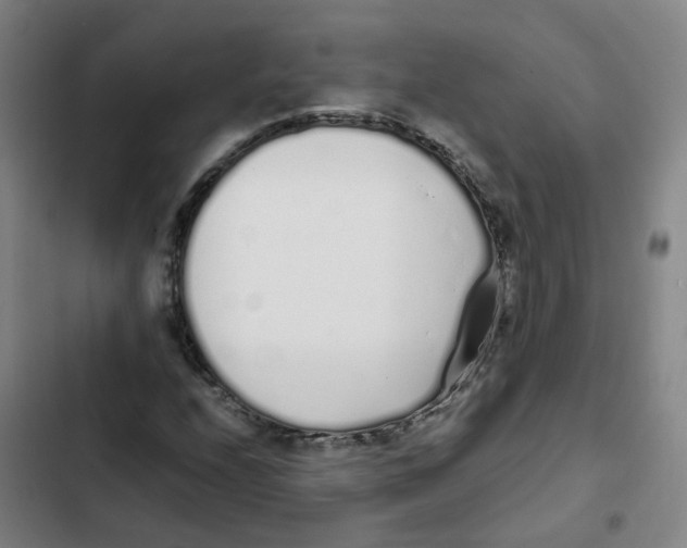 X0000102371208200808291241