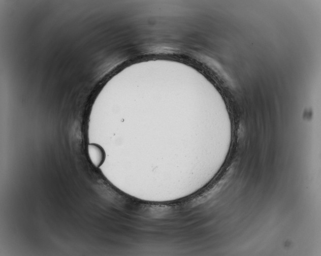 X0000102371209200808291241