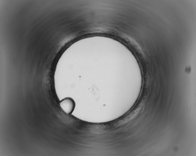 X0000102371210200808291241