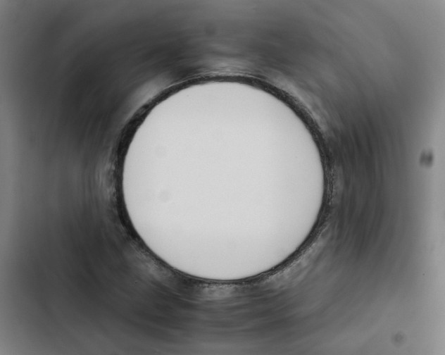 X0000102371211200808291241