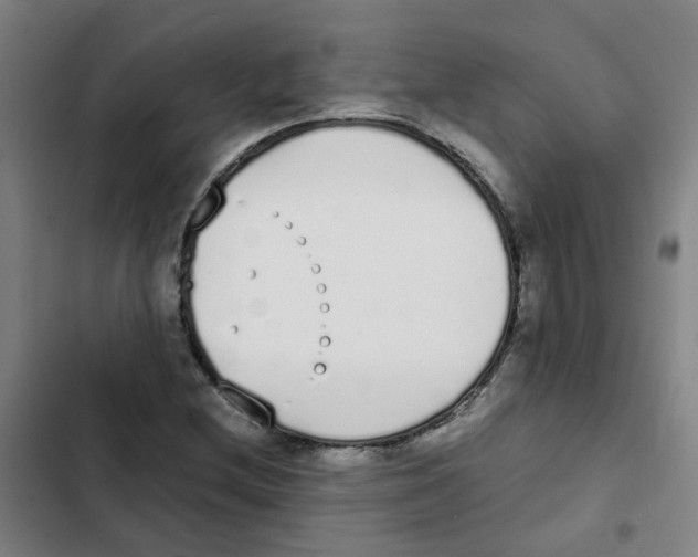 X0000102371212200808291241