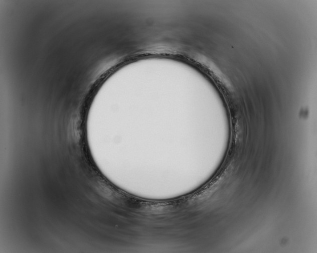 X0000102371213200808291241
