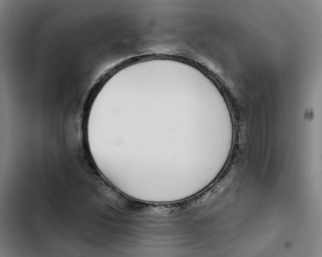 X0000102371214200808291241