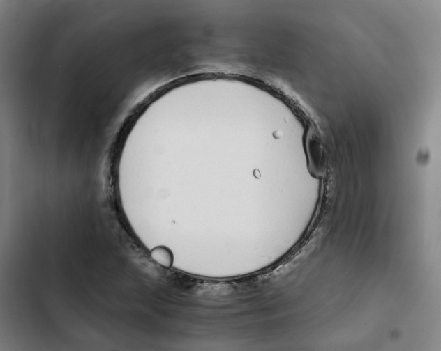 X0000102371215200808291241