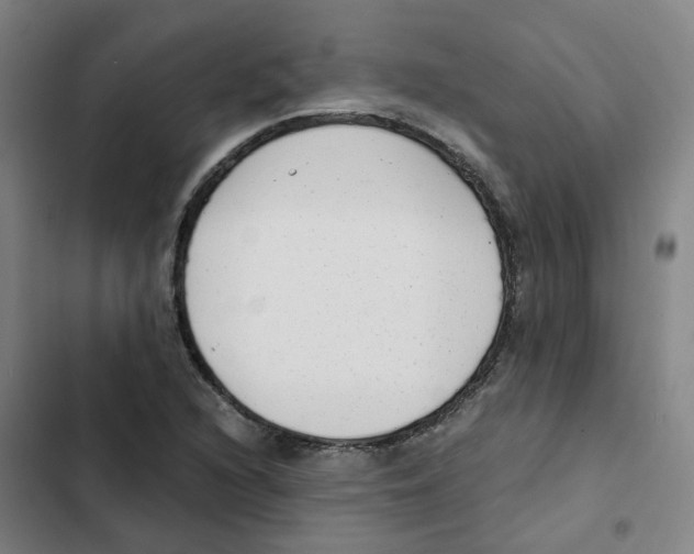 X0000102371216200808291241