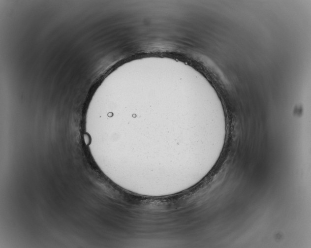 X0000102371217200808291241