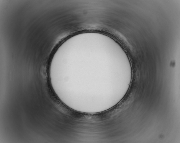 X0000102371218200808291241