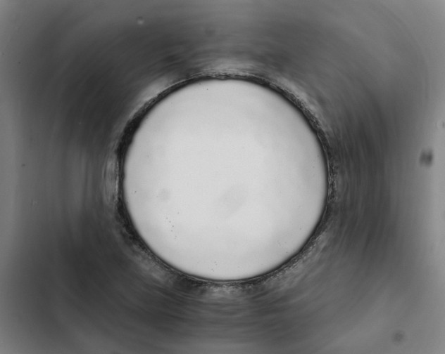 X0000102371219200808291241