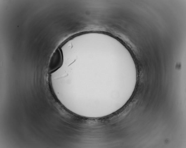 X0000102371220200808291241