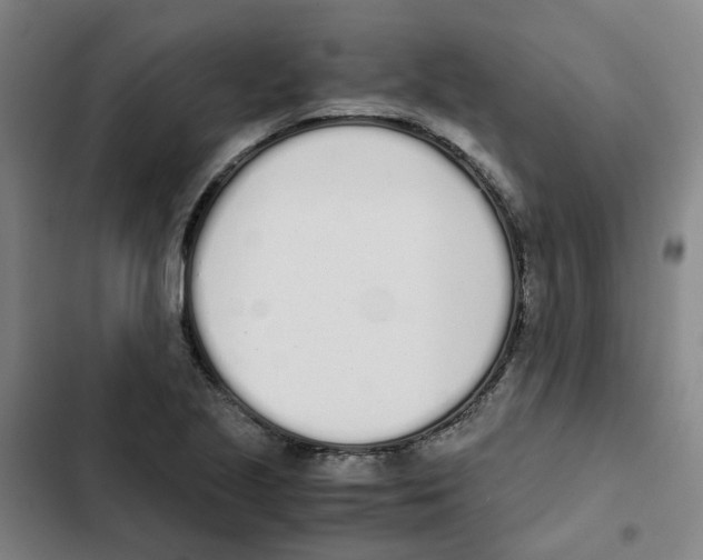 X0000102371221200808291241