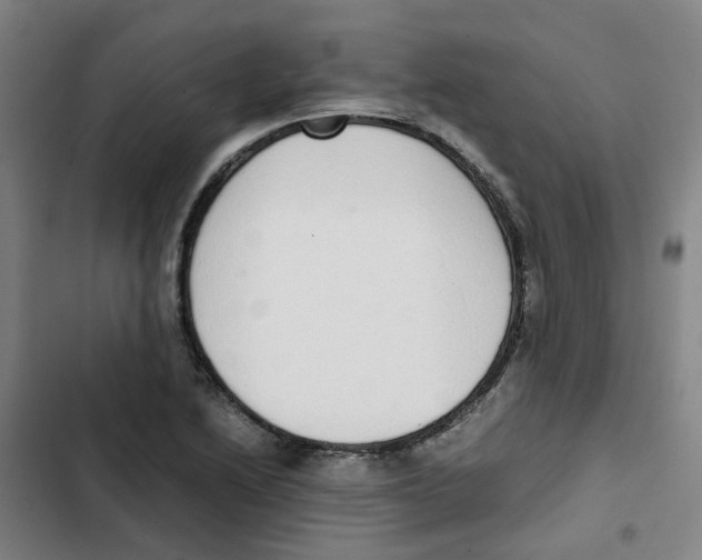 X0000102371222200808291241