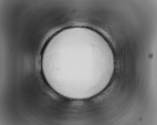 X0000102371223200808291241