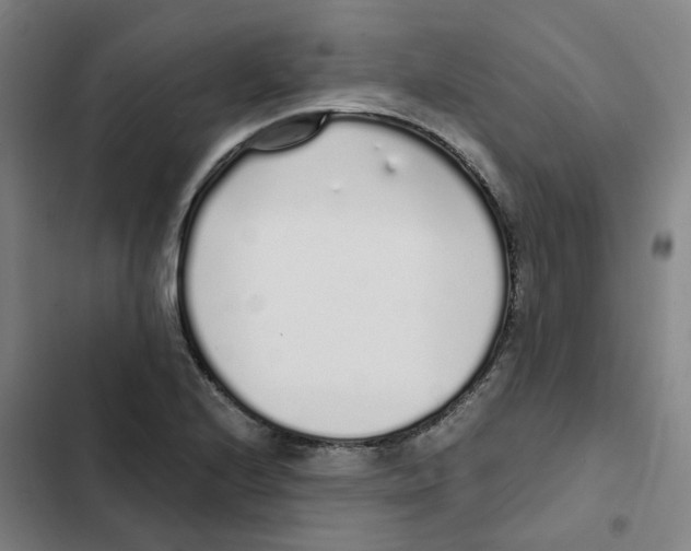 X0000102371224200808291241