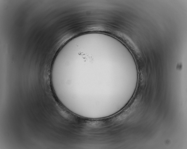 X0000102371225200808291241