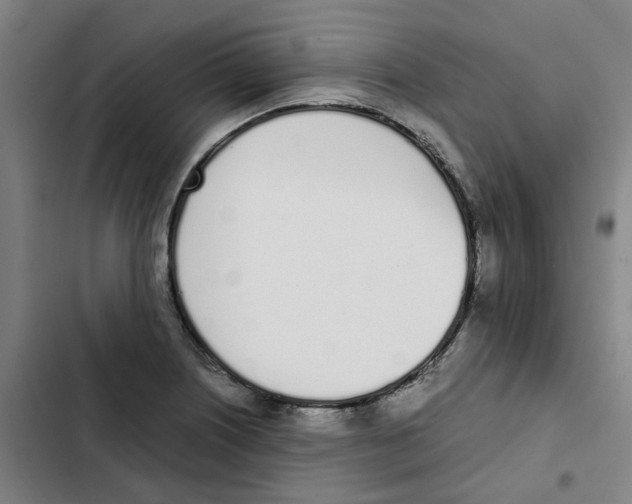 X0000102371226200808291241