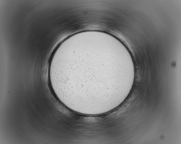 X0000102371227200808291241