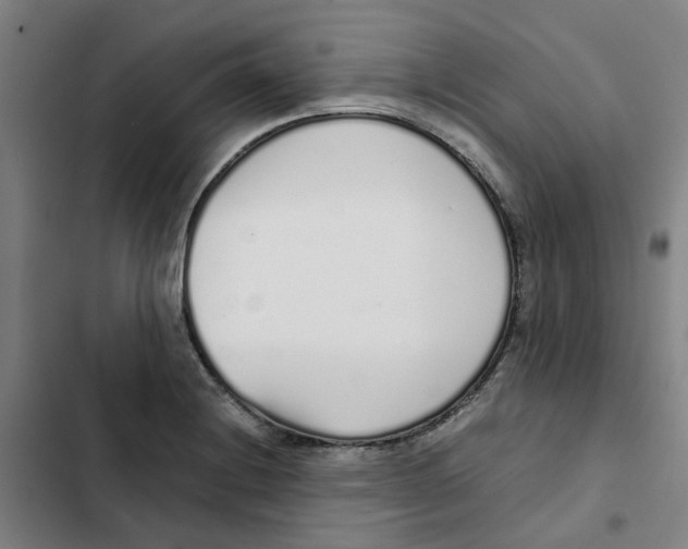 X0000102371228200808291241