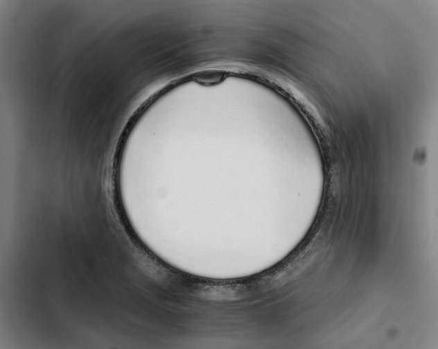 X0000102371229200808291241