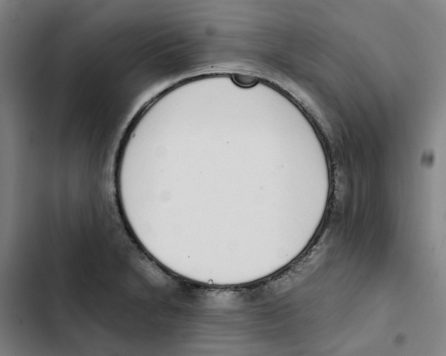 X0000102371230200808291241