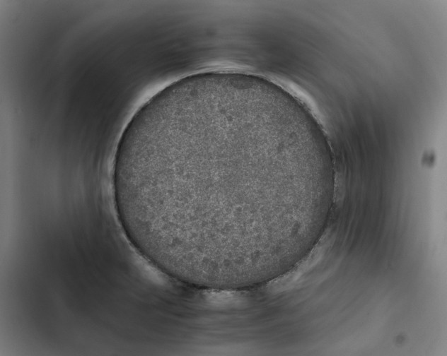 X0000102371231200808291241