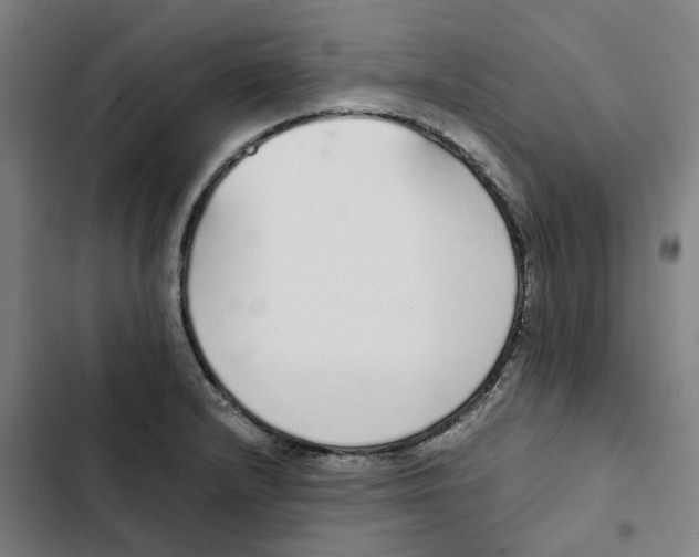 X0000102371232200808291241
