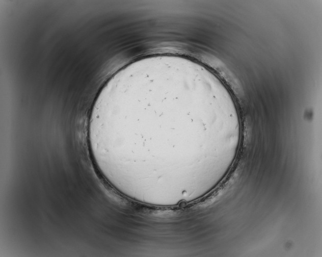 X0000102371233200808291241